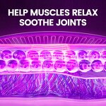 Massage Cream - Manufacturer - Organic Herbal Vegan Aloe Purslane Hyaluronic Niacinamide Muscle Soreness Relief