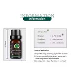 Essential Oil Set - Manufacturer - Pure Mint Lavender Eucalyptus Fennel Sulfate-free Moisturizing Nourishing Whitening