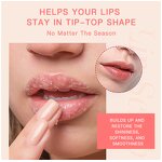 Lip Sleeping Mask - Manufacturer - Korean Organic Vegan Hyaluronic Aloe Rose Sulfate-free Brightening Nourishing
