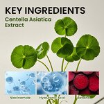 Centella Face Toner - Manufacturer - Nicotinamide Betaine Brightening Soothing Calming Moisturizing Daily Skincare