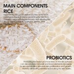 Rice Sunscreen Cream - Factory - Wholesale Organic Vegan Probiotic Moisturizing Hydrating Whitening UV Protection