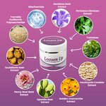 Massage Cream - Manufacturer - Organic Herbal Vegan Aloe Purslane Hyaluronic Niacinamide Muscle Soreness Relief