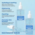 Niacinamide Face Serum - Manufacturer - Salicylic Witch Hazel Cruelty-free Moisturizing Acne Clearing Oil-Control