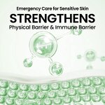 Centella Face Serum - Factory - Aloe Vera Ceramide Paraben-free Moisturizing Repair Soothing Firming Hydrating