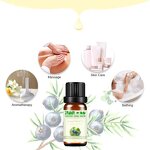 Tagetes Oil Manufacturer - CAS 8016-84-0 99.8% Pure for Food Industrial & Daily Use