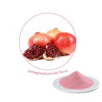 Carrot Powder Manufacturer - Food Grade Powder for Food