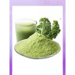 Green Cabbage Powder Manufacturer - Organic Freeze Dried Nutrient Rich Superfood