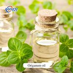 Origanum Oil Manufacturer - Oil of Oregano Carvacrol Essential CAS 8007-11-2
