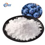 Blueberry Powder Manufacturer - Pure Natural Freeze Dried Antioxidant Rich