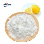 Lemon Powder Manufacturer - Freeze Dried Zesty Natural Boost for Beverages