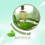 Peppermint Oil Manufacturer - Fragrance for Beverages & Toothpaste Cooling & Soothing