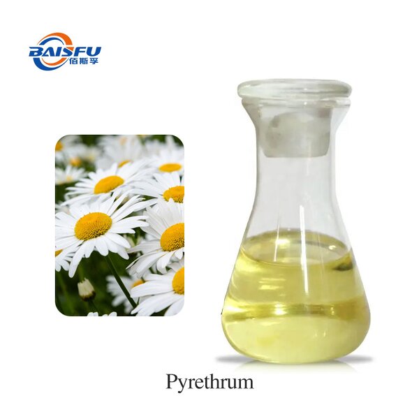 Pyrethrum Extract Powder Manufacturer - 100% Natural Pyrethrin