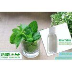 Menthol Oil Manufacturer - Mint Flavors Concentrate for Food