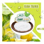 Cooling Agent Powder Manufacturer - High Quality WS-23 for Chewing Gum