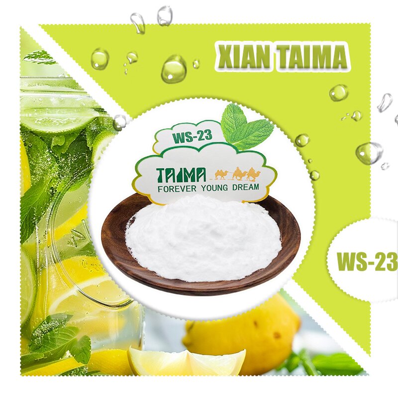 Cooling Agent Powder Manufacturer - High Quality WS-23 for Chewing Gum