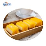 Mango Powder Manufacturer - Pure Natural Freeze Dried for Smoothies & Baking