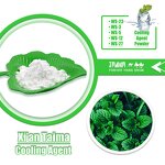 Cooling Agent Powder Manufacturer - Coolada WS-5 Food Grade Coolant