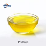 Pyrethrum Extract Powder Manufacturer - 100% Natural Pyrethrin