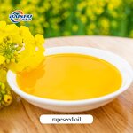 Rapeseed Oil Manufacturer - 100% Crude & Refined Canola Oil for Sale