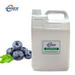 Blueberry Powder Manufacturer - Pure Natural Freeze Dried Antioxidant Rich