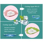 Cooling Agent Powder Manufacturer - Coolada WS-5 Food Grade Coolant