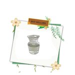 Butyl Butyral Lactate Manufacturer - Factory Bulk Price CAS 7492-70-8