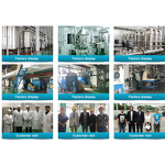 Mango Aroma Manufacturer - Food Grade Liquid/Power Flavor for Food & Beverages