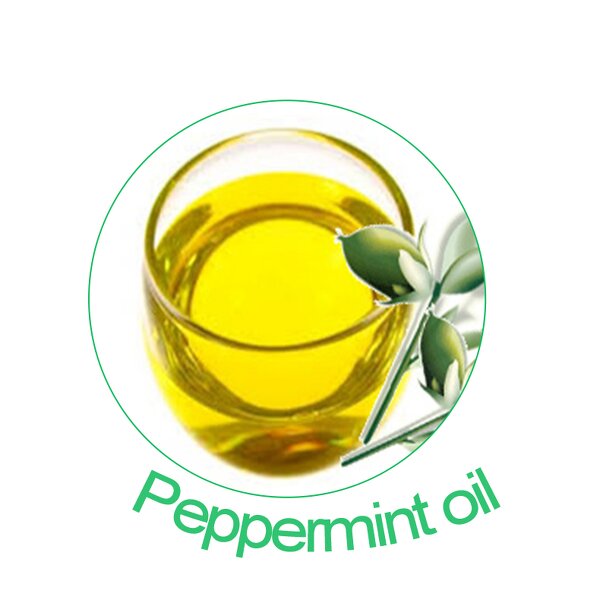 Peppermint Oil Manufacturer - Factory Wholesale CAS 8006-90-4