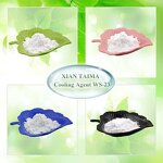 Cooling Agent Manufacturer - Food Grade WS-5 Flavoring CAS 68489-14-5