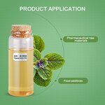 Peppermint Oil Manufacturer - Factory Supply Pure Natural Mint Spearmint Oil Bulk