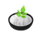 Cooling Agent Powder Manufacturer - WS-23 for Facial Spray