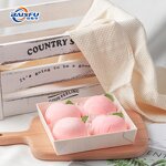 Peach Powder Manufacturer - Freeze Dried Sun Ripened for Baking & Smoothies