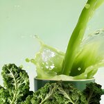 Green Cabbage Powder Manufacturer - Organic Freeze Dried Nutrient Rich Superfood