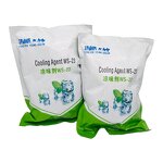 Cooling Agent Manufacturer - Food Grade WS-5 Flavoring CAS 68489-14-5