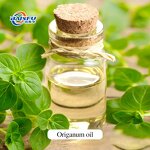 Origanum Oil Manufacturer - Oil of Oregano Carvacrol Essential CAS 8007-11-2