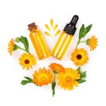 Tagetes Oil Manufacturer - CAS 8016-84-0 for Food Pure Natural Essential Oil