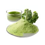 Green Cabbage Powder Manufacturer - Organic Freeze Dried Nutrient Rich Superfood