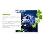 Blueberry Spice Manufacturer - Wholesale High Concentrated Fruits Liquid Flavoring