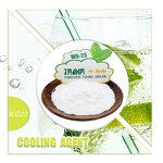 Cooling Agent Powder Manufacturer - High Quality WS-23 for Chewing Gum