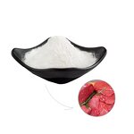 Beef Meat Powder Flavor Manufacturer - Pure Beef Essence for Pizza Seasoning