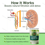 Kidney Health Tea Manufacturer - OEM Private Label Hot Selling for Men