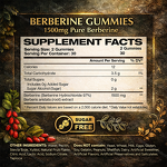 Berberine Supplement Gummies Manufacturer - OEM/ODM with Ceylon Cinnamon & Turmeric