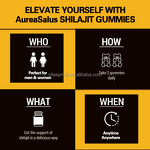 Shilajit Gummies Manufacturer - Premium 100% Natural Gold 60 for Immune Support