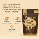 Mushroom Coffee Powder Manufacturer - OEM Private Label with Lions Mane & Chaga