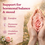 Shilajit Honey Sticks Manufacturer - Wholesale Pure Himalayan with Fulvic Acid