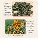 Detox Honey Manufacturer - Pure Intestinal and Colon Herbal for Bloating Relief