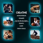 Creatine Monohydrate Gummies Manufacturer - Premium for Energy & Endurance OEM