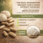 Lion's Mane Capsules Manufacturer - Private Label Organic Mushroom for Energy