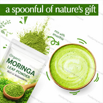 Moringa Leaf Powder Manufacturer - Bulk Organic EU Certified Pure OEM ODM