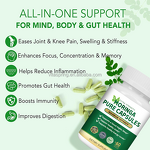 Moringa Leaf Capsules Manufacturer - Factory Wholesale Organic Rich Vitamins